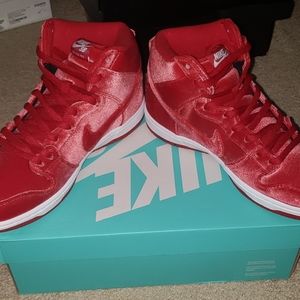 Nike Dunk Premium SB